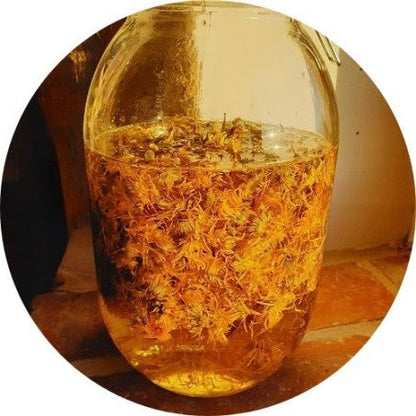 Macérât huileux de Calendula | visage et corps
